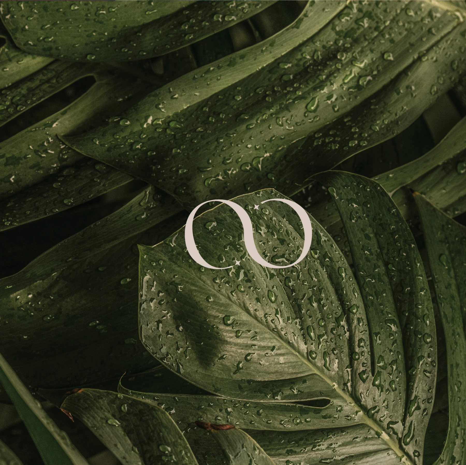 Noor · Monogram
